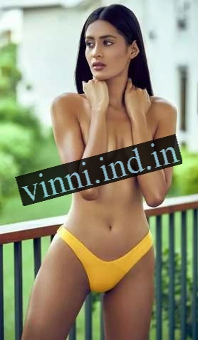 Amritsar Escort